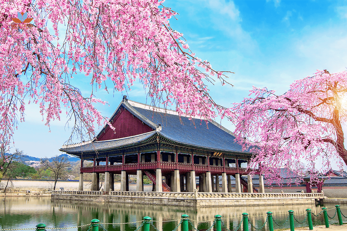 lam-vi-sa-han-quoc-5-nam-Mayvisa-1.png